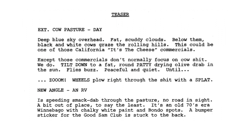 Breaking Bad TV Script Sample